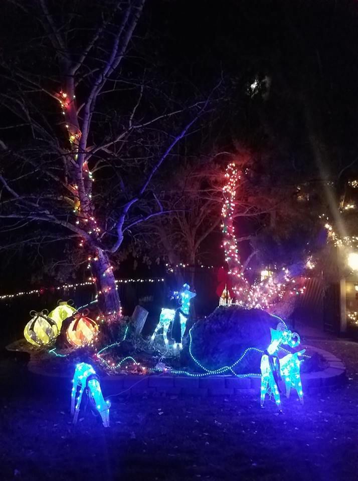 Holiday lights